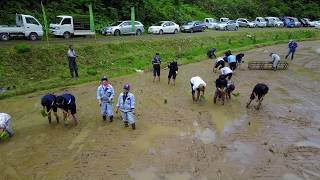 気軽にTry! 環境活動 酒米田植え交流会 2017【ドローン（MavicPro）撮影（初心者）】17.05.28