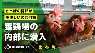 【比布町】の養鶏場に取材！かっぱの健卵が美味しいわけ。～北海道キャンピングカー冒険 42/179市町村