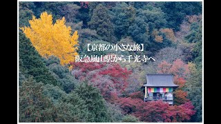 【京都の小さな旅】奥嵐山の千光寺