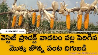 వెస్టిజ్ ప్రొడక్ట్ వాడటం వల్ల పంట దిగుబడి పెరిగింది మీరే వినండి రైతు ద్వారా...