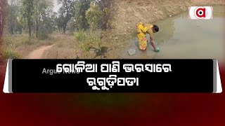 ଗୋଳିଆ ପାଣି ଭରସାରେ ରୁଗୁଡ଼ିପଡା | Water Crisis In Boudh