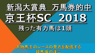 2018 京王杯SC　事前データ分析 残ったのは1頭