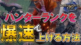 たった7回でHR8→40に!! ハンターランクを効率よく上げる方法【モンスターハンターライズ】