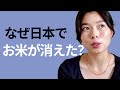 486 スーパーでお米🍚が買えなくなった理由 #日本語ポッドキャスト