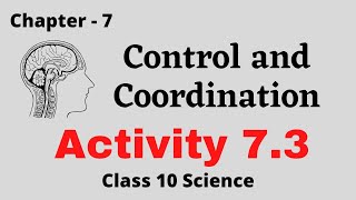 Activity 7.3 | Control and Coordination | Chapter 7 | Class 10 Science Biology 2021-22 @prkfilms