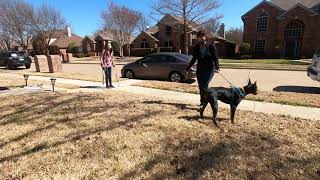 Maverick CGC Test 1