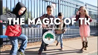 EESD | The Magic of TK