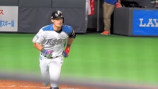 ＜2018.4.24オリックス戦3回裏＞先頭打者・大田泰示がホームランを放ち、ダイヤモンドを一周しベンチで迎えられる