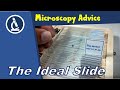 🔬 What are the four characteristics of an ideal microscope specimen? | Amateur Microscopy