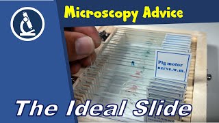 🔬 What are the four characteristics of an ideal microscope specimen? | Amateur Microscopy