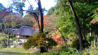 みちのく民俗村ライブ  2024.10.26 14:32