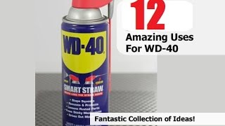 ★12 Amazing Uses for WD 40