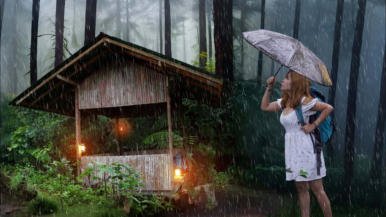An Abandoned Log Cabin Saved Me From The Heavy Rain In The Rainforest