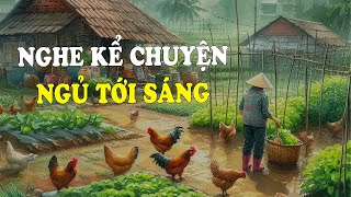 Nghe Kể Chuyện Ngủ Tới Sáng | Đọc Truyện Đêm Khuya Đài Tiếng Nói Việt Nam