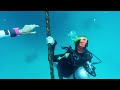 australia barrier reef dive ron sheila 2023 movie