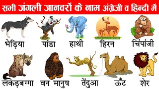 जंगली जानवरों के नाम इंग्लिश और हिंदी में | Wild Animals Names and Sounds In Hindi and English