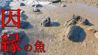 【因縁の対決】2年間逃げられ続けた魚 遂に決着‼