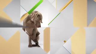 [REKONSTRUKCJA] TVP HD - Ident wielkanocny (2011)