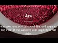 जास्वंदाच्या फुलांचे केसांवर 7 फायदे 7 benifts of hibiscus flowers for hair jaswand ayurvedic