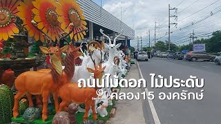 ถนนไม้ดอก ไม้ประดับ คลอง 15 องครักษ์ 2567 | Nakhon Nayok 2024