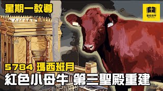 【星期一教導】5784 瑪西班月 紅色小母牛 與 第三聖殿重建 有何關聯? 民數記19章 | 聖經吉甲 Bible Gilgal | 教導 牧養 宣教 聖經精讀 基督教資源分享平台