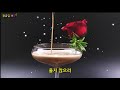 cover 황금길 사랑아 다시한번 원곡 남미랑 1971년도 발표곡 영상가사