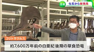 恐竜の化石から新発見　約7600万年前の草食恐竜 “コリトサウルス” はアメリカにも生息していた！　国際的な学術誌に掲載＆標本展示の見学も可能【岡山】