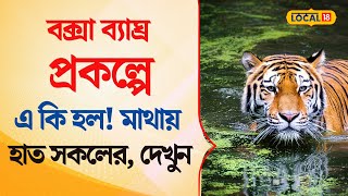 Bangla News | কী এমন হল বক্সা পর্যটনে? জানলে কপালে চোখ উঠবে আপনার | Buxa Tiger Reserve  | #local18