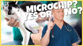 Do I need to microchip my pet? Will it hurt them?! | ASK THE VET with Dr Scott Miller
