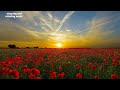 | Meditation Music| Music for relaxation | Song Title: Analogue Dreams |