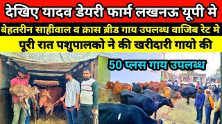 इस सीजन मे पहली बार दिखी ऐसी गाय यादव डेयरी फार्म पर || yadav dairy farm lucknow || Pashu Darshan 2M