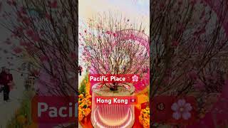 ［年初五］香港金鐘太古廣場🌸Pacific Place 2025🧧新春賀𡻕🐍蛇年裝飾#太古廣場#金鐘#hongkong#admiralty#新春大吉#新春#pacificplace#香港