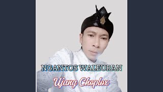 Ngantos Waleran