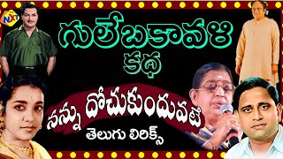 Nannu Dochu kunduvatey Telugu Lyrics | Gulebakavali Katha Telugu Movie Songs | NTR Jamuna | TVNXT