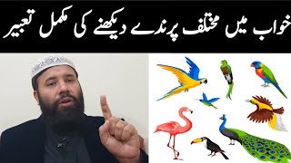 Khwab mein parinda dekhna | khwab mein parinde dekhna ki tabeer | birds Islamic dream interpretation