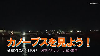 カノープスを見よう！りゅうこつ座の1等星全天2番目に明るい恒星 令和5年2月27日 AIボイスナレーション案内～種子島の星空風景