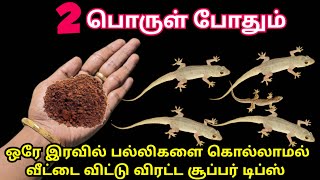 100% பல்லி கொல்லப்படாமல் வீட்டை விட்டு விரட்ட சூப்பரான டிப்ஸ்|get rid of lizards|kitchen tips #tips