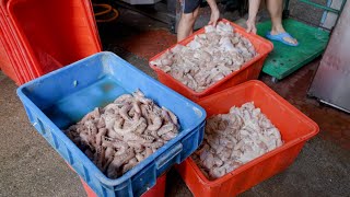 Various Fried Foods Making, Chicken Neck,Cutlet,Drumstick,Thigh,Wing/多種炸雞炸花枝丸製作 - Taiwan Street Food