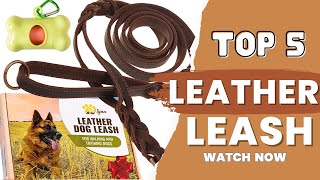 Best Leather Leash in 2023 [Top 5 Reviews]