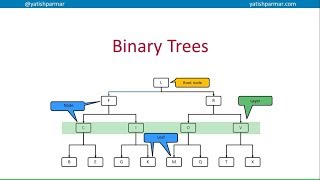 Binary Trees (Intro) - A Level Computer Science