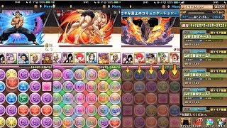 チャレダン10個全部を10分未満で終わらす！！【パズドラ】