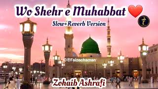 Wo Shahre Mohabbat jahan Mustafa hai lyrics || Wo Shahre Mohabbat || Hafiz Munir Ahmad 😍