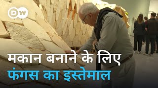 निर्माण में कंक्रीट की जगह फंगस का इस्तेमाल [Rethink construction: Can fungus be an option]