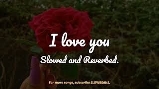 I Love You (Slowed and Reverbed) | Bodyguard | Ash King, Clinton Cerejo | SLOWBEANS