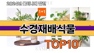 요즘 많이 팔린 수경재배식물 추천 Top10