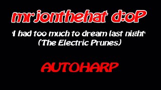 mrjonthehat - autoharp - 'I Had Too Much To Dream Last Night' (4K)