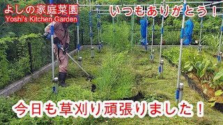 20241104　家庭菜園の草刈り作業