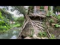 尋找秘景 樹屋 泰國寺 大埔 超易路線 exploring hong kong