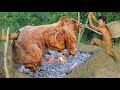 survival in the rainforest   cooking COW