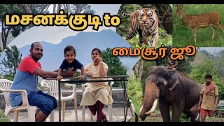 #vlog -10 #மசனக்குடி to மைசூர் ஜூ வரை #karnadaka national park #mysoor zoo#pavi